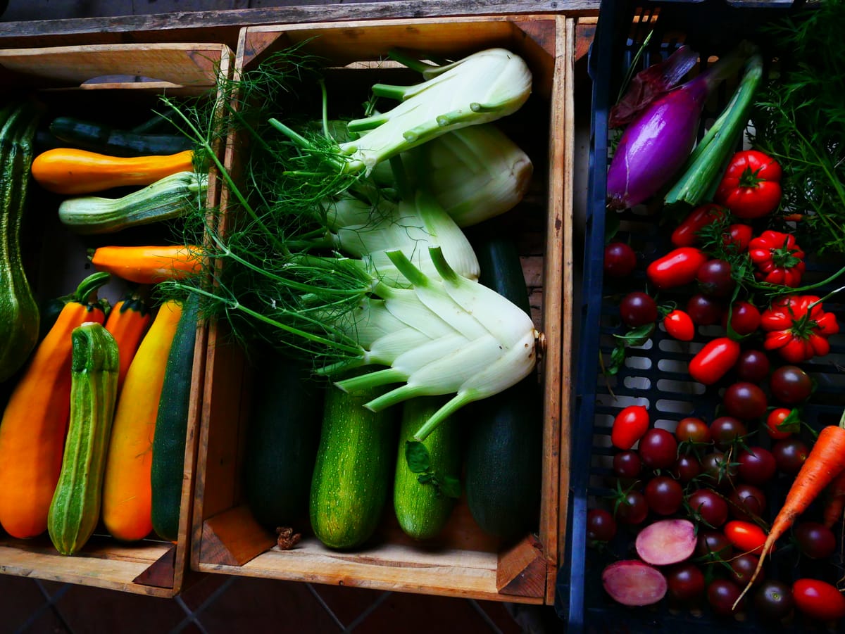 Chapter I Astro-nutrition series:A devotional guide to digesting Virgo Season~ especially helpful for those with natal Virgo Sun's, Moon's & Rising signs 🜃