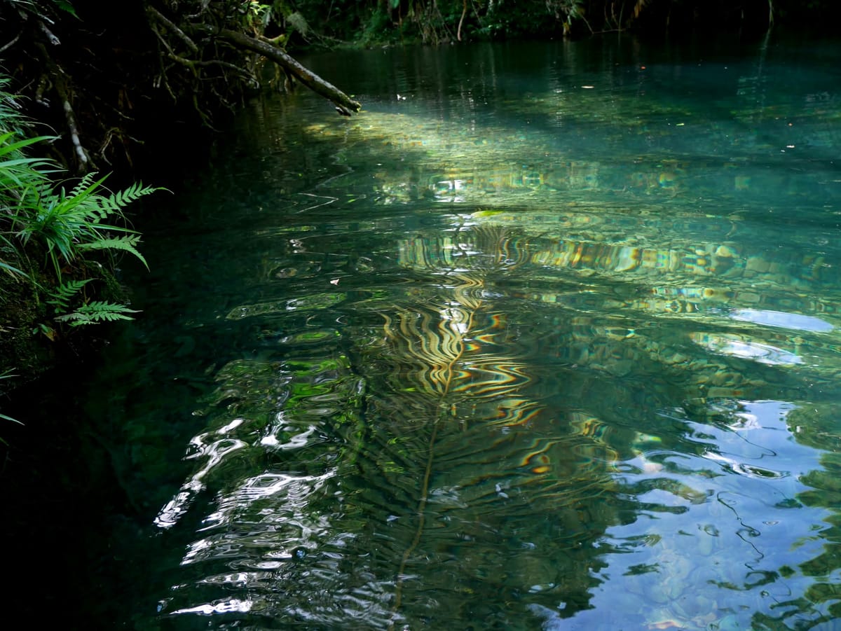 Chapter II Astro-nutrition series: An initiatory guide on the wisdom & nutrition of Libra & kidney season ♎︎︎