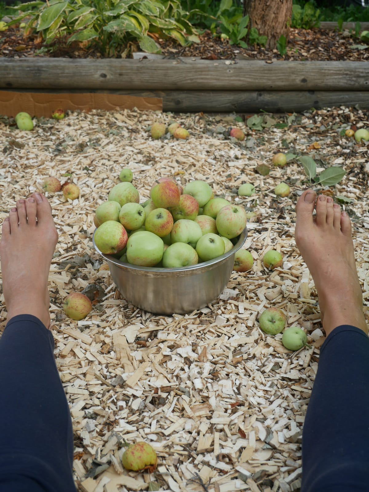 A September note: In the fruit that falls༄
