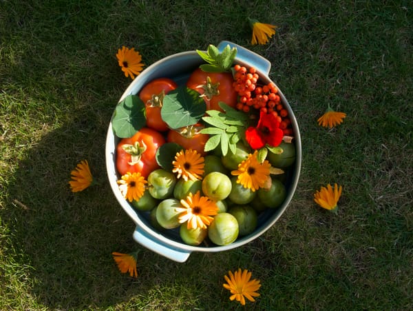 A Leo Season Muse~An ode to Hestia, Goddess of luminous flame & Centre 〇